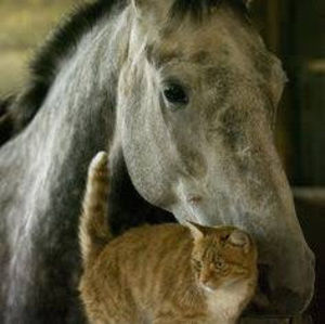 Meet your Posher, Ava